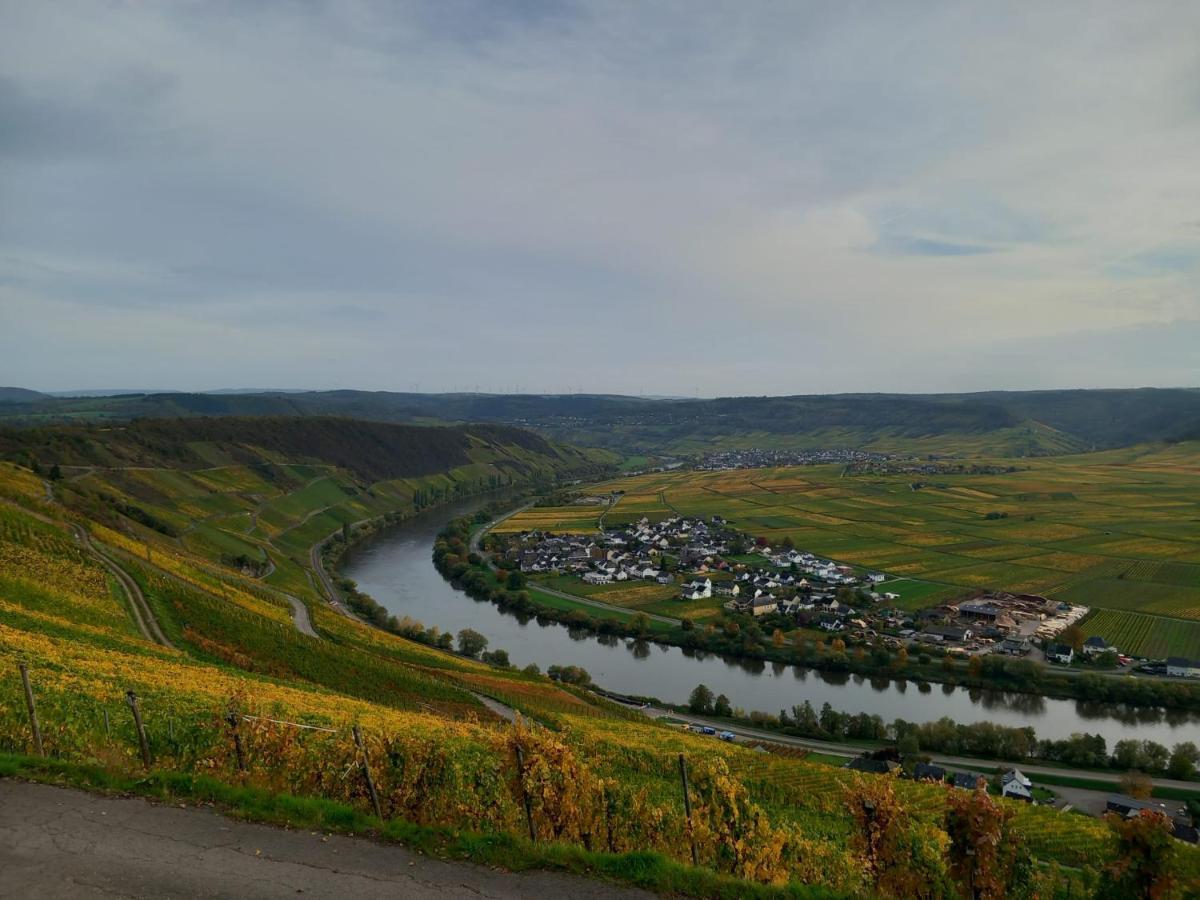 Mosel-Auszeit Appartement Klusserath Buitenkant foto