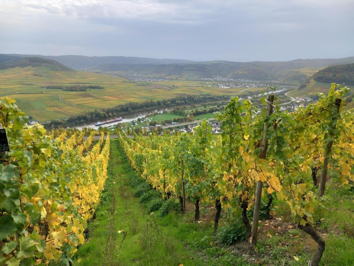 Mosel-Auszeit Appartement Klusserath Buitenkant foto